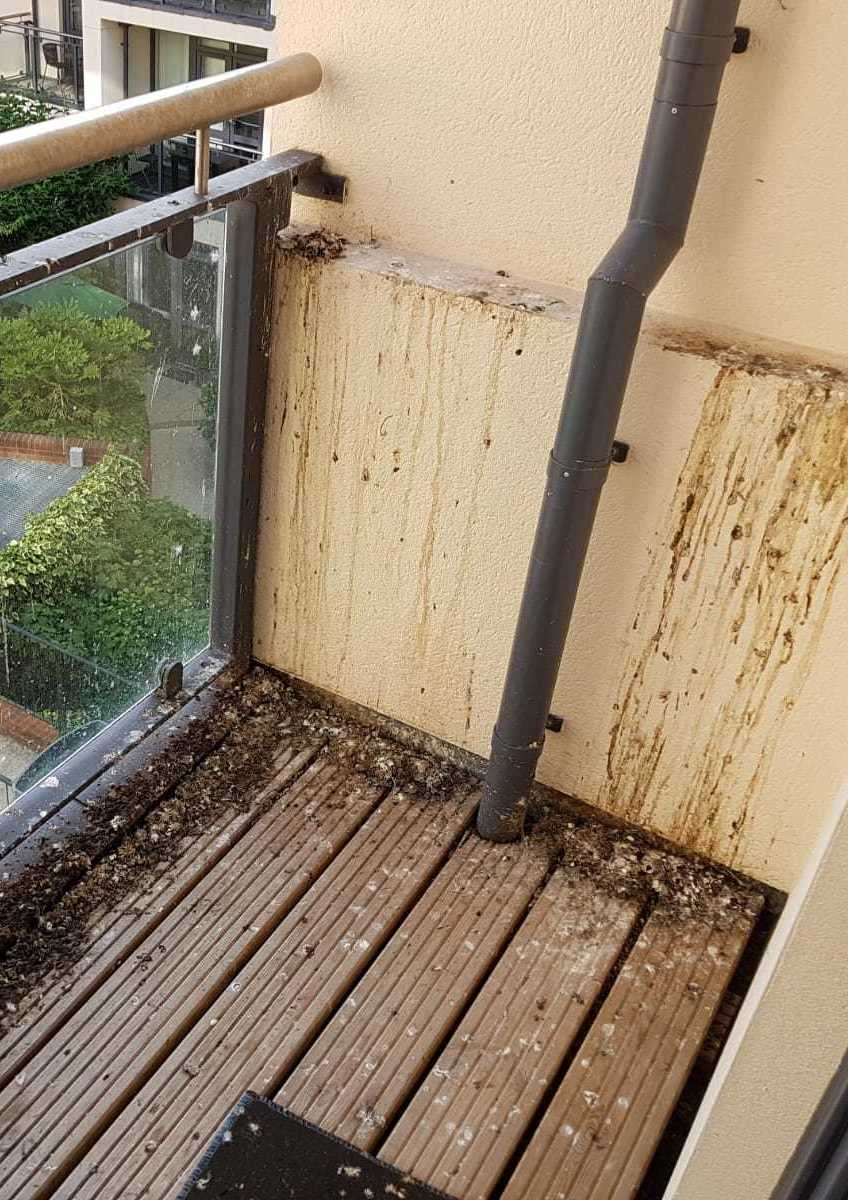 Dirty balcony