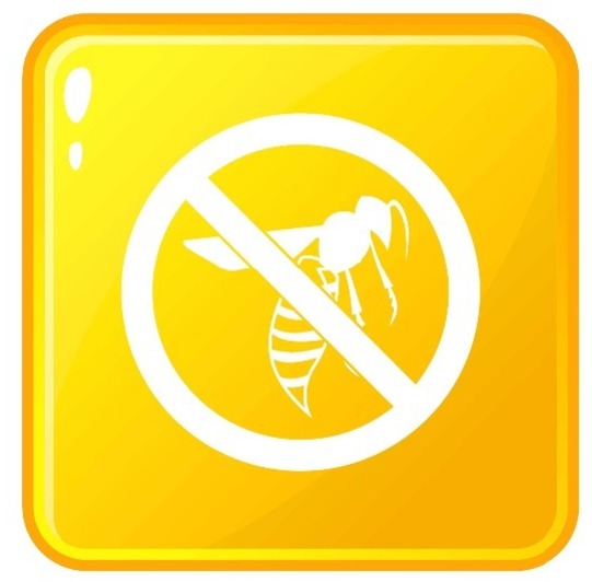 No Wasps Logo